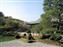 Tenryuji Temple Garden