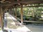 Tenryuji Temple Garden