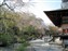Tenryuji Temple Garden