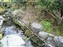 Tenryuji Temple Garden