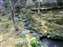 Tenryuji Temple Garden