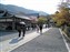 Tenryuji Temple Garden