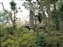Yoshikien Garden