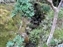 Yoshikien Garden