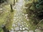 Yoshikien Garden