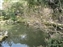Isuien Garden
