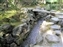 Isuien Garden