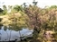Isuien Garden
