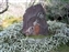 Isuien Garden