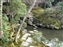 Isuien Garden