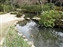 Isuien Garden