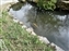 Isuien Garden