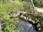 Isuien Garden
