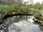 Isuien Garden