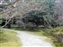 Isuien Garden