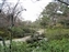 Isuien Garden
