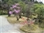 Isuien Garden