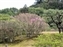 Isuien Garden
