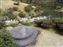 Isuien Garden
