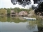 Sagi-Ike Pond & Park