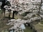 Sagi-Ike Pond & Park