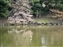 Sagi-Ike Pond & Park
