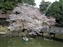 Sagi-Ike Pond & Park