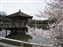 Sagi-Ike Pond & Park