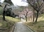 Sagi-Ike Pond & Park