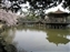 Sagi-Ike Pond & Park