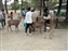 Deer begging for deer crackers