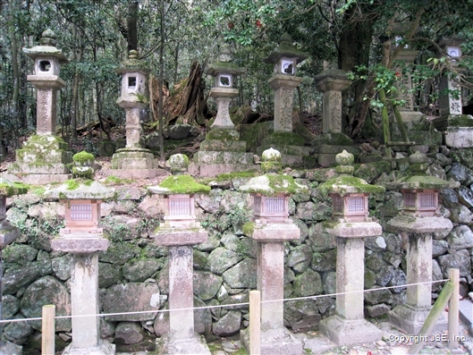 Click for large image