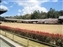 Todaiji Temple Grounds