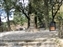 Monument in the park near the temple