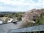 City view from the terrace of Sangatsu-do