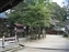 Path toward Kasuga Shrine through the woods