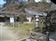 Path toward Kasuga Shrine through the woods
