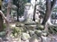 Path toward Kasuga Shrine through the woods