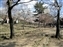 Wakakusa-yama area