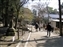 Wakakusa-yama area