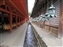 Kasuga Taisha Shrine