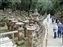 Kasuga Taisha Shrine