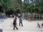 Kasuga Taisha Shrine