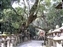 Kasuga Taisha Shrine Area