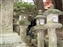 Kasuga Taisha Shrine Area