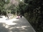 Kasuga Taisha Shrine Area