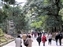 Kasuga Taisha Shrine Area