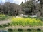 Kasuga Taisha Shrine Garden
