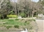Kasuga Taisha Shrine Garden
