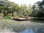 Kasuga Taisha Shrine Garden